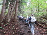 1列になり、急な場所も一歩ずつ確実に!